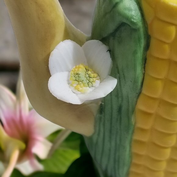 Miniature Ceramic Tea Pots Fruit/Vegetable & Flower With Removable Lid 4pcs Set - Picture 14 of 16